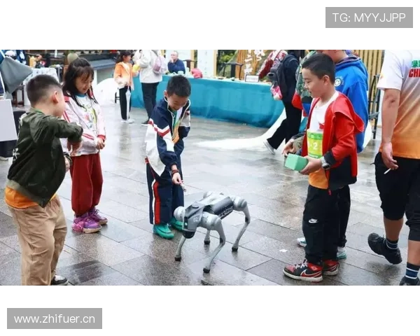 综合聚焦蒙顶山茶马古道2025登高活动圆满举办展现茶文化健身