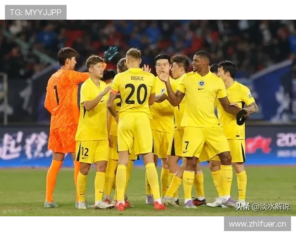 中超第29轮上海申花主场迎战深圳新鹏城巅峰对决前瞻分析全景版